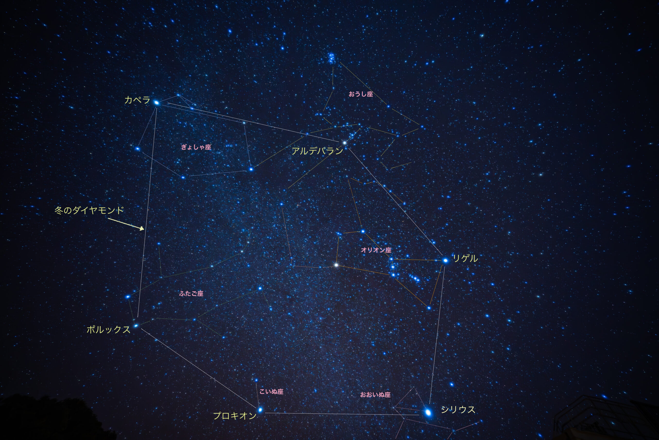 冬の一等星たちが織りなす「冬のダイヤモンド」 - 国頭村星空観光ツアー
